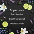 thumbnail image 4 of LITTLE TREES air freshener Supernova 3-Pack, 4 of 10