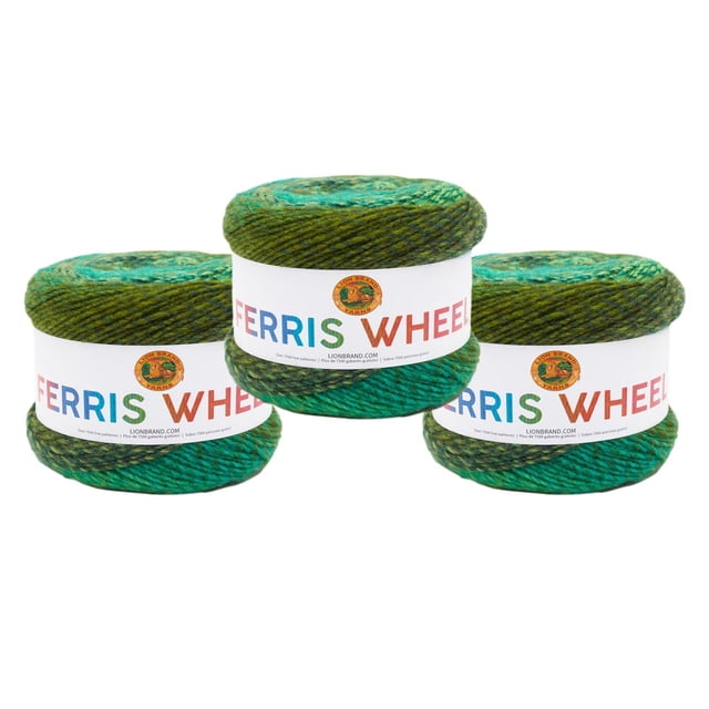 Lion Brand Yarn Grande Roue Roving Medium Multicolore Lot de 3