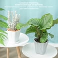 thumbnail image 4 of facefd Flowerpot Gardening Base Container Garden Ornament Multiple Colors Plant Planter Practical Portable Fashionable White Yellow, 4 of 6