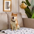 thumbnail image 3 of Tapis d'Entraînement Réutilisables et Étanches pour Animaux de Compagnie avec Conception Lavable et Confort Durable Amélioré en TPR pour Usage Intérieur et Extérieur, 3 of 5