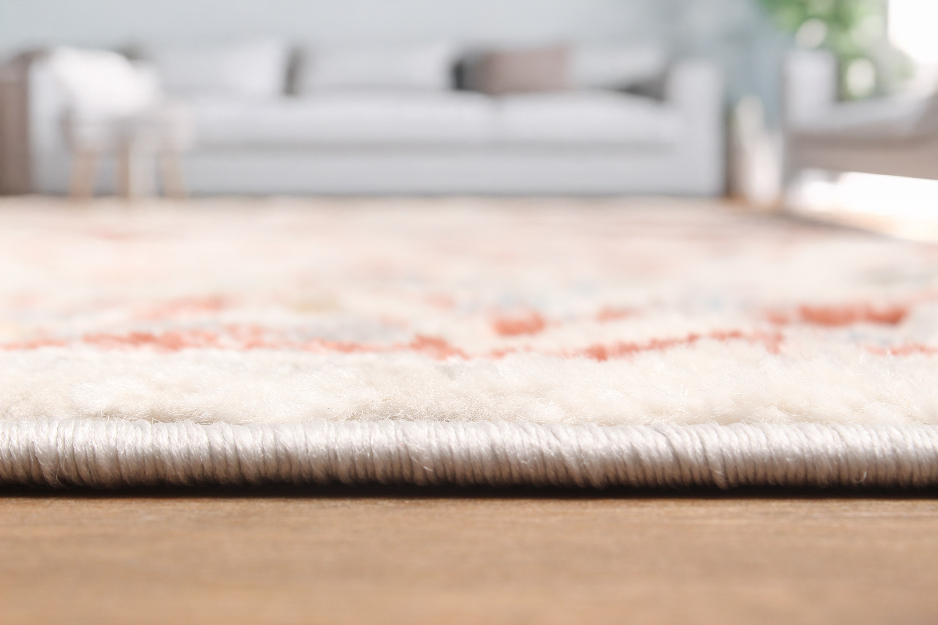 ECARPET Efes Traditional Area Rug for Living Room, Bedroom, Dining Entrance, Hallway and More