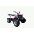 thumbnail image 3 of Tao Motor Raptor 125 VTT de Taille Moyenne Édition Limitée (Assemblage Requis), Graffiti, 3 of 5