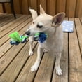 thumbnail image 3 of Dogit Knotted Rope Multi-Coloured Rope Bone Dog Toy Small, 3 of 5