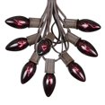 thumbnail image 1 of Novelty Lights 25 Foot C9 Twinkle Outdoor Patio Halloween String Light Set, Black Light Purple, Brown Wire, 25 Bulbs, 1 of 5