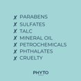 thumbnail image 3 of PHYTO Hair Cleansing Scrub, 3 of 6