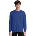 thumbnail image 1 of Hanes Chandail Molletonné à Col Rond Épais en Coton Ultime pour Hommes - F260, 1 of 1