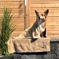 thumbnail image 3 of Wahl Ultra Soft Dry Dog Towel for Med / Large Dogs, 3 of 3