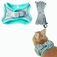 thumbnail image 1 of Product Classification Leashes Product Title Pet Harness and Leash Set with Breathable Vest and Reflective Strips Jacket for Small Puppy, 1 of 6