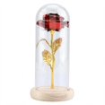 thumbnail image 1 of Noref Preserved Rose Flower LED Light with Glass Cover & Wooden Base Valentines'Day Wedding Gift, 1 of 7