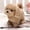 Grey, variant on Pisexur Simulation Plush Toys Electric Puppy Pet Toy Dog Can Walk And Call Toy Dog Children’s Gift, Christmas Gifts for Kids