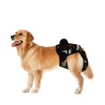 thumbnail image 2 of Pets Dogs Physiological Pants Sanitary Diaper Menstruation Underwear Briefs, 2 of 5