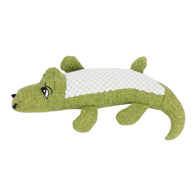 Jouet Molaire pour Chien, Jouet Non Grinçant pour Chiot Bleu, Rouge, Vert