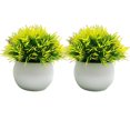 thumbnail image 2 of Xingzhi 2pcs/set Pot Bonsai Ornament Home Decor Companion Faux Grasses For Decor Potted Simulation yellow 1Set, 2 of 6