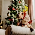 thumbnail image 3 of Serre-tête Ajustable pour Chiens pour Fêtes de Noël et d'Halloween Confortable et Lavable, 3 of 7