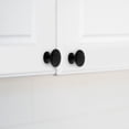 thumbnail image 2 of Era Simple Paquet de 2 Bouton Noir Mat, 2 of 6
