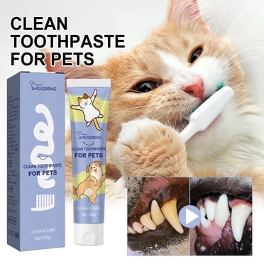 Antqov Pet Cleaning Toothpaste 100g, Fresh Breath Bad Breath Cleaning Oral Care Toothpaste for Cats and Dogs, Pet Supplies