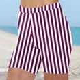 thumbnail image 2 of Plebaso Shorts pour Femmes 2025 Imprimé Rayé Shorts de Plage Taille Haute Mode Leggings Courts, 2 of 5