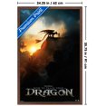 thumbnail image 3 of Dragons (2025) - Fiche d'information, 3 of 3