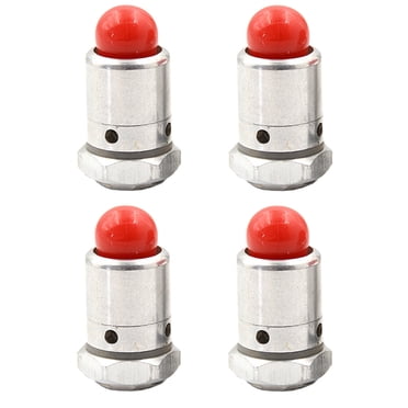 SHISUYAN 4 Pcs Soupapes de Vapeur pour Autocuiseur Soupapes de Sécurité Universelles pour Autocuiseur