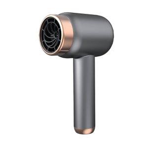 Séchoir à cheveux portable avec technologie de séchage rapide pour le voyage et la maison