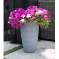 thumbnail image 3 of Algreen Acerra Pot de Jardinière Haut en Composite Résistant aux Intempéries, Gris (Lot de 2), 3 of 3