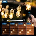 thumbnail image 4 of braveheart Dimmer Plug For Outdoor Lights Easy Installation Remote Access Energy-saving Outside Light Dimmer 1 us, 4 of 6