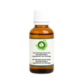 thumbnail image 2 of Huile de Moringa Moringa Oleifera pour Cheveux pour Visage pour Corps pour Peau Huile pour Cheveux Huile de Moringa Pure Pure Naturelle Pressée à Froid Huile de Moringa 15ml 0.507oz par R V Essential, 2 of 9