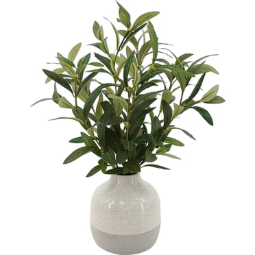 Better Homes & Gardens 35.5cm plante d’olives artificielles d’intérieur en Vase en céramique 2-Tone