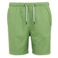 thumbnail image 1 of Regatta Mens Mackleyna Swim Shorts, 1 of 5