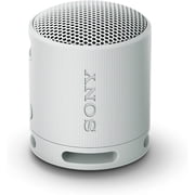 Sony SRS-XB100 Waterproof Bluetooth Wireless Speaker - Light Grey
