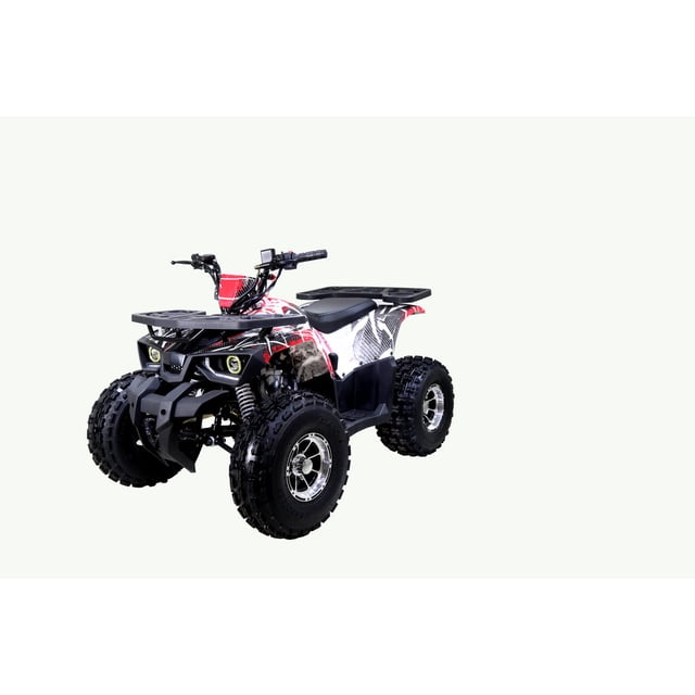 Tao Motor Raptor 125 VTT de Taille Moyenne Édition Limitée (Assemblage Requis), Graffiti