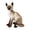 Siamese cat 20cm, variant on Lipstore Cat Toy Kids Room Decor Snuggling Cat Doll for Adults Boys Girls gray 25cm