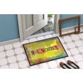 thumbnail image 4 of Carolines Treasures SB3097MAT Artsy Welcome Indoor or Outdoor Mat, 4 of 4