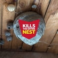 thumbnail image 4 of Raid Wasp and Hornet Insect Killer Spray, for Outdoor Use, 400g, 4 of 9