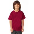 thumbnail image 1 of Hanes T-Shirt à Col Rond à Manches Courtes ComfortWash pour Garçons, m, Crimson Fall, 1 of 1