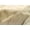 LIGHT BRINDLE, variant on KOBE EXOTIC COWHIDE RUG 5' X 7'