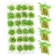 thumbnail image 1 of MasteelfCA 1 Box of Simulated Static Grass Tufts Model Fake Grass Cluster Irregular Grass Cluster DIY Sand Table Ornament, 1 of 8