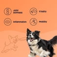 thumbnail image 3 of Gruffies Joint & Hip Dog Treats, 3 of 8