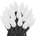 thumbnail image 1 of Novelty Lights 24FT 70 LED C6 Pure White Permanent Christmas Lights, 1 of 6