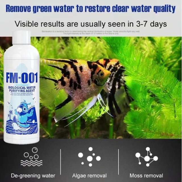 Dvkptbk Algae Removal Powdr Biological Water Purifying Powder 300ml Tools&Home Improvement Home Essentials