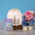 thumbnail image 4 of ScentSationals, Scented Wax Cubes, Wildflower Dreams, 4 of 4