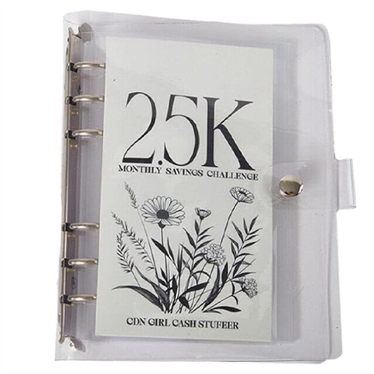 12-Month Envelopes Money Saving Challenge Binder, 12 Month Savings Challenge, Money Saving Binder 2.5K,1 x Money Saving book