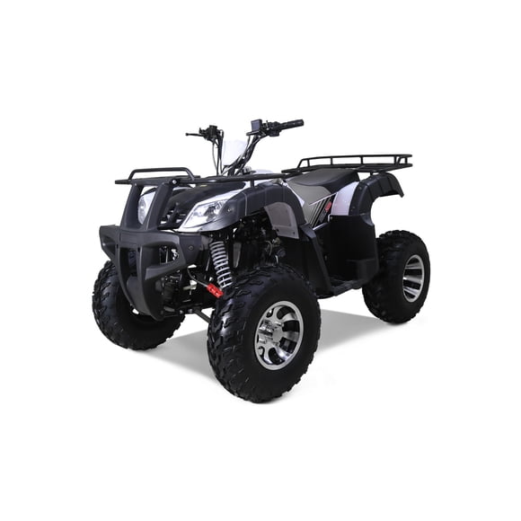 Tao Motor Bull200s 169cc Gas 4-Stroke Engine Adult ATV (Assembly Required), Gray