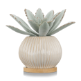 thumbnail image 1 of Bouclair Succulente Verte en Pot Céramique, 1 of 6