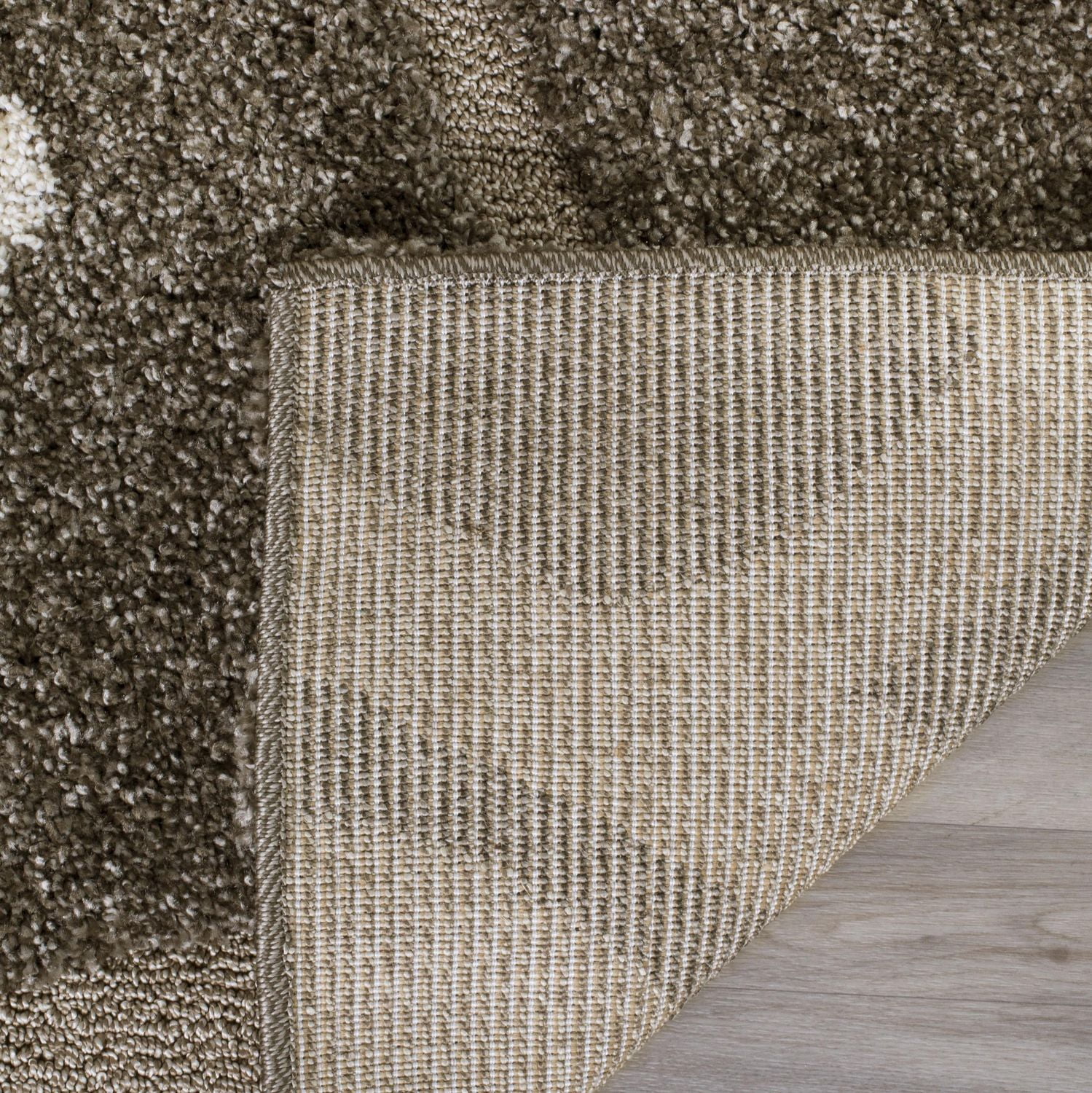 SAFAVIEH Florida Teodor Floral Shag Area Rug
