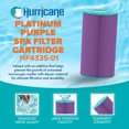 thumbnail image 2 of Hurricane Filtres HF4335-01P Cartouche de Filtre de Spa Platinum Violet, 2 of 7