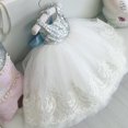 thumbnail image 1 of Robe Princesse Bébé Enfant Fille Nœud en Dentelle Florale Robe de Noël Fête Robes Formelles, 1 of 5