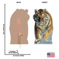 thumbnail image 4 of Advanced Graphics 804 Leprechaun avec Pot d'Or - Support en Carton Arc-en-Ciel Taille Réelle, 4 of 12