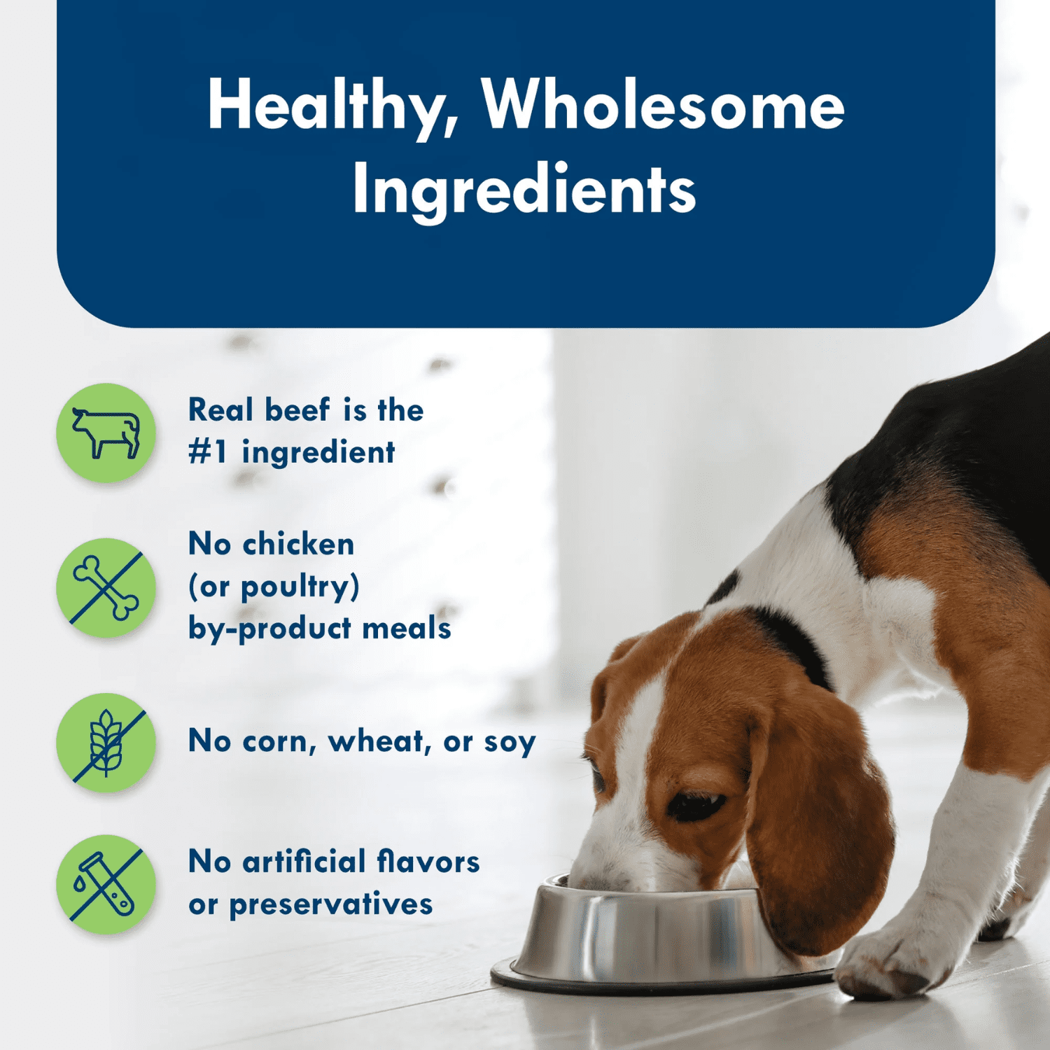 Blue Buffalo Delights Assortiment de Nourriture Humide pour Chiens de Petite Race, Filet Mignon & contre-Filet de Bœuf 500g