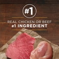 thumbnail image 4 of Purina ONE SmartBlend Assortiment Moulu Classique, Nourriture Humide pour Chiens 368 g, 4 of 10